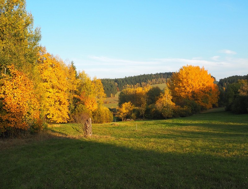 Široké pole