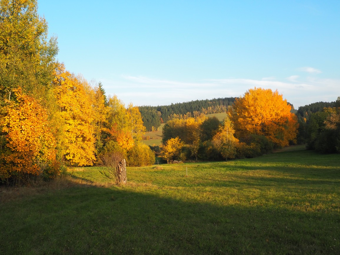 Široké pole