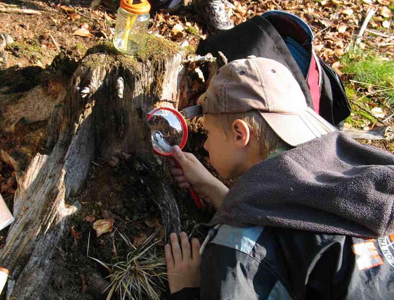 Středisko EVVO 2003 (2003-2005)