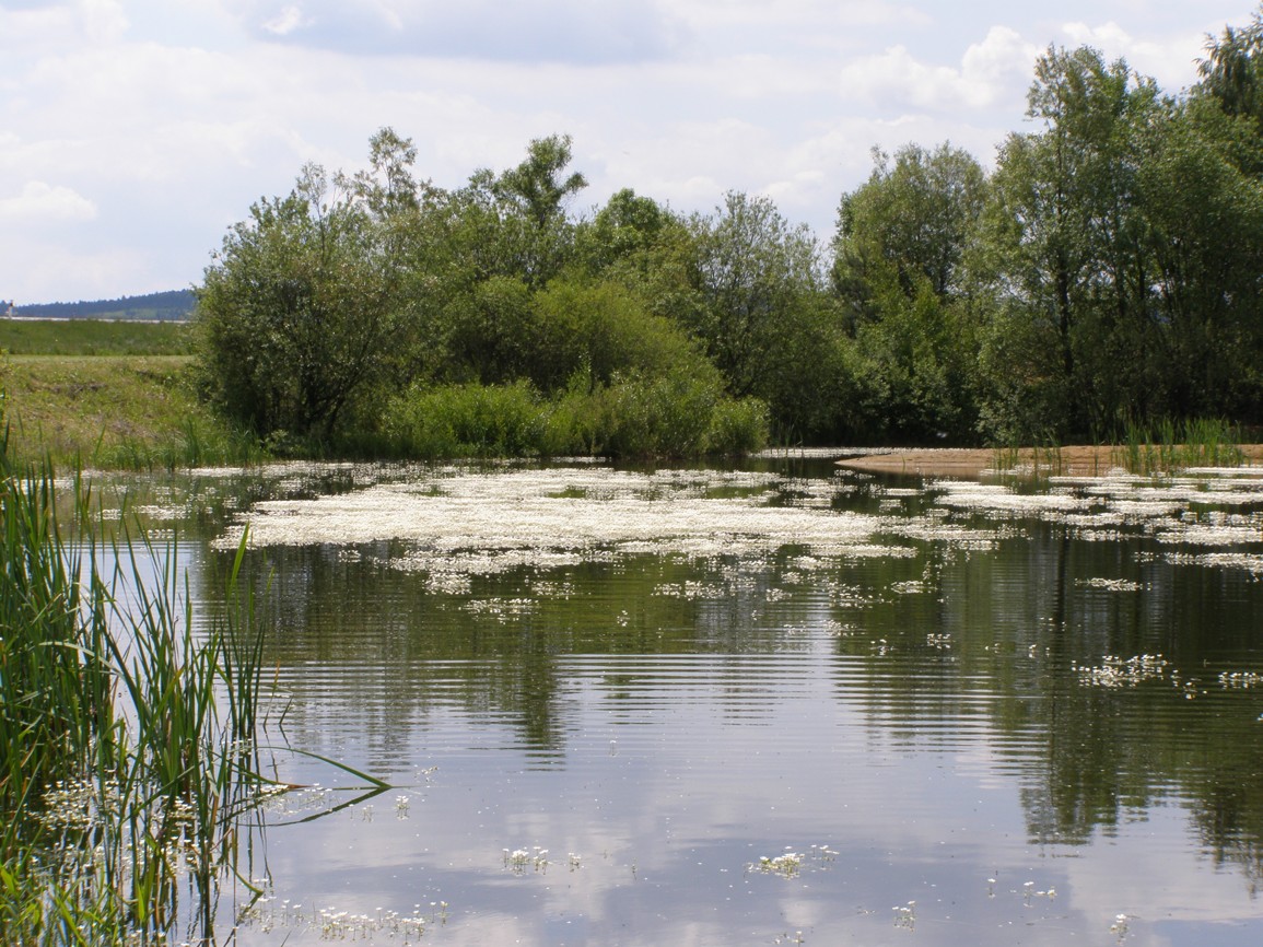 Laguna u Bohdalova