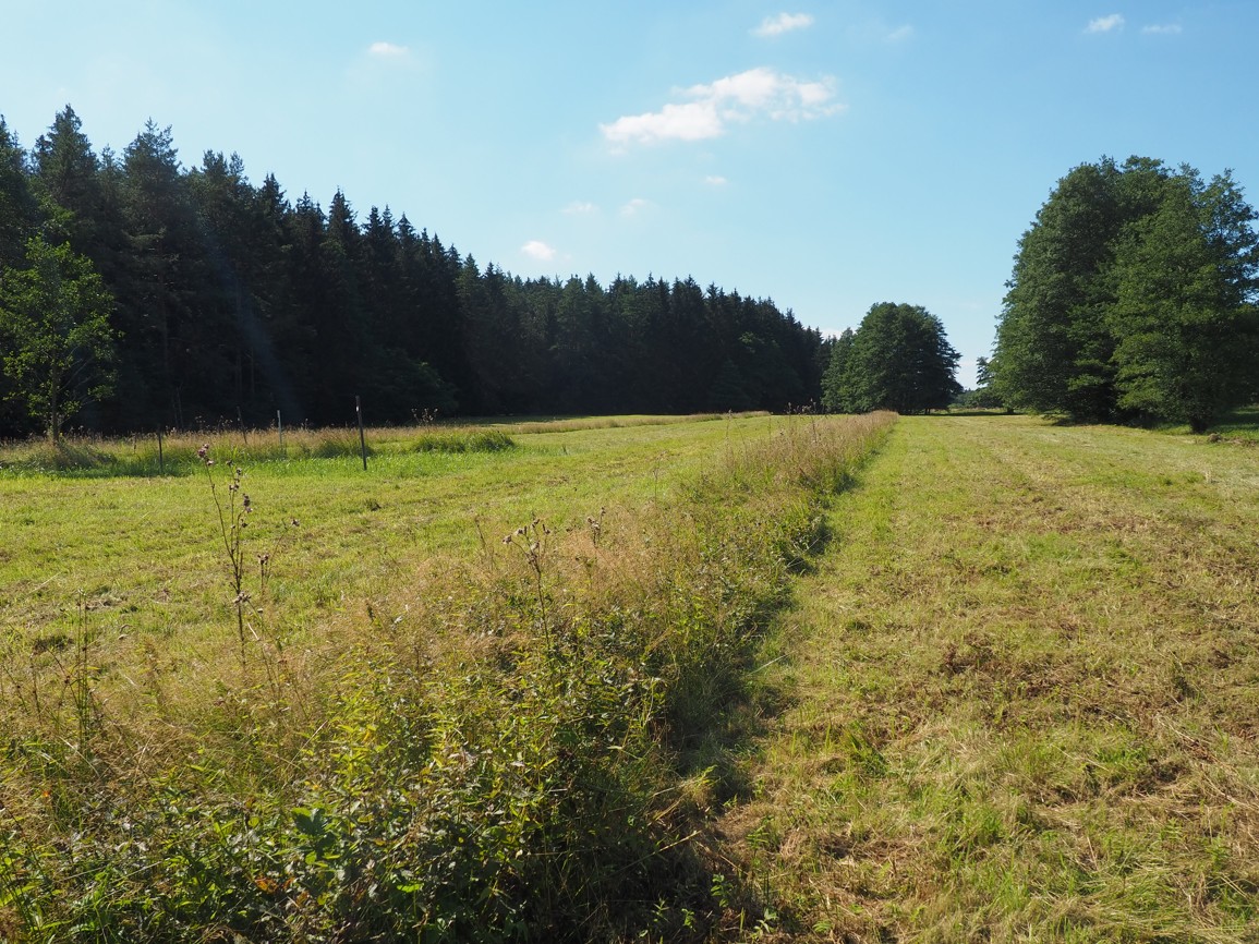 Maršálka