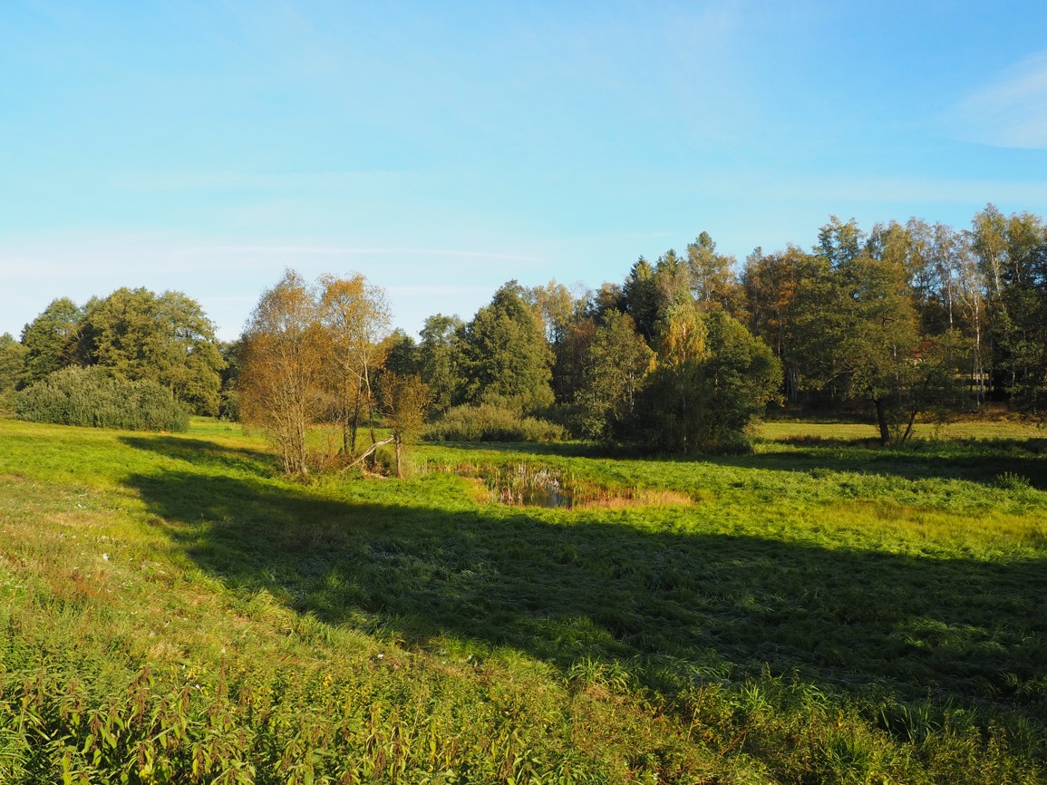Staviště